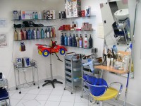 /album/fotogalerie-kadernictvi-redken/foto4-big-jpg/